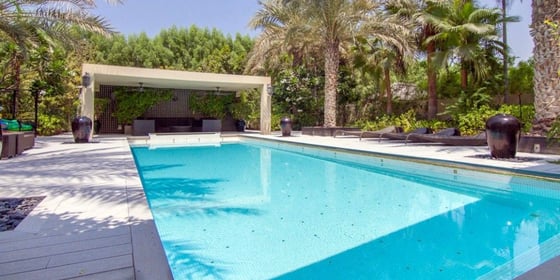 Swimming Pools, picture 1