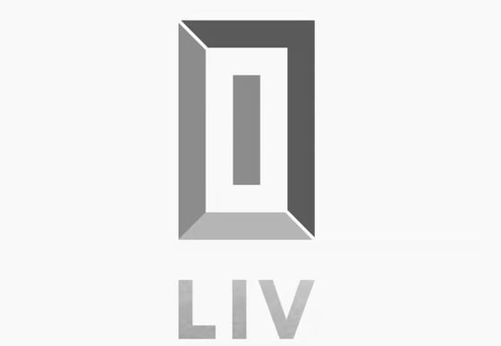 LIV Real Estate's logo