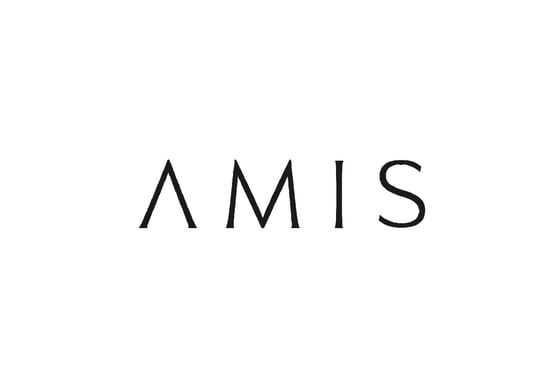 AMIS Properties's logo