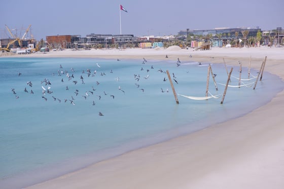 La Mer, picture 3