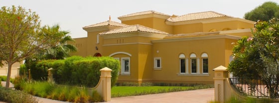 Aseel, picture 3