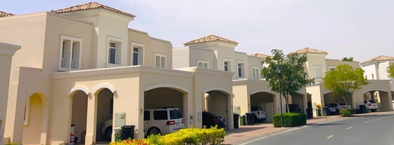 Aseel, picture 6