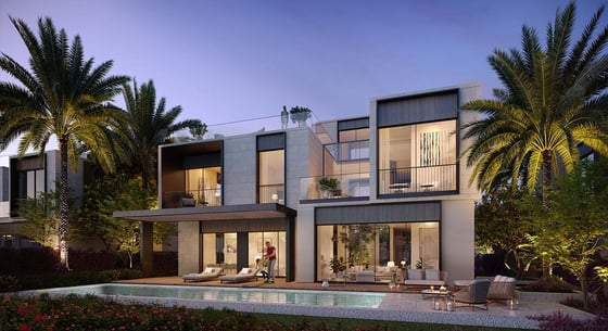 Palm Hills, picture 6