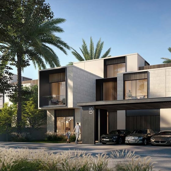 Palm Hills, picture 5