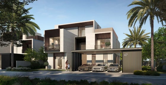 Palm Hills, picture 4