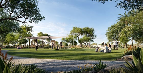 Farm Grove, picture 9