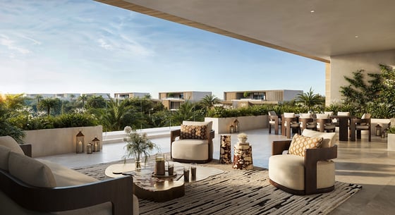 The Oasis - Lavita, picture 7