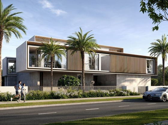 The Oasis - Lavita, picture 4