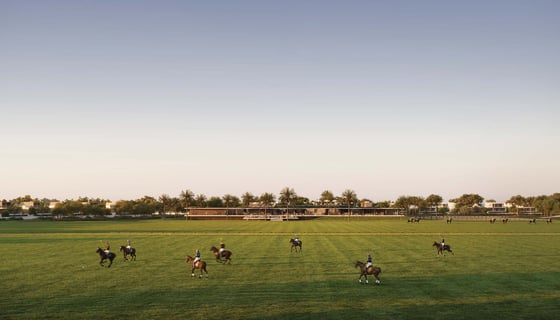 Grand Polo Club and Resort, picture 12