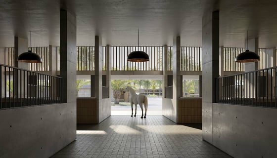 Grand Polo Club and Resort, picture 6