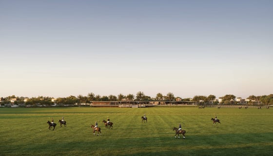 Grand Polo Club and Resort, picture 2