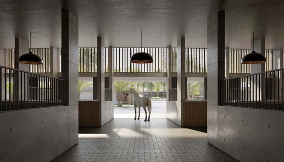 Grand Polo Club and Resort, picture 4