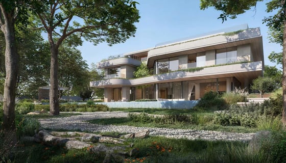 Moringa Mansions, picture 4