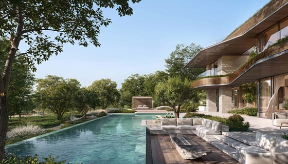 Moringa Mansions, picture 5