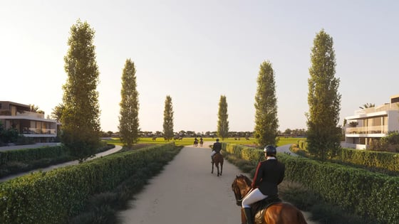 Equiterra, picture 2