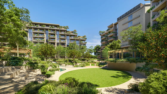 Arancia Yards, picture 8