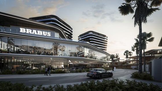 Brabus Island, picture 12