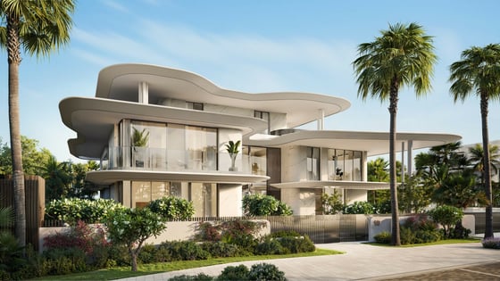 Faya Al Saadiyat, picture 3