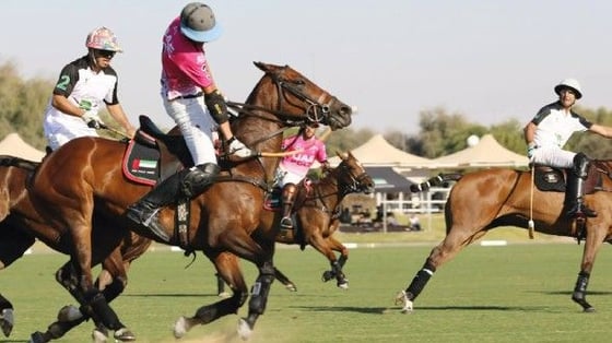 Polo & Equestrian Living, picture 1