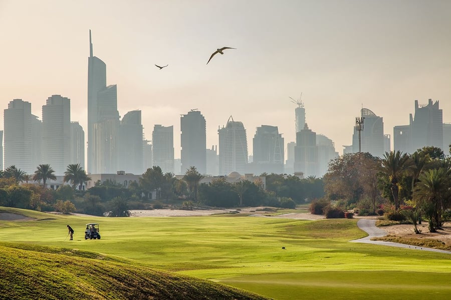 Emirates Hills, picture 1