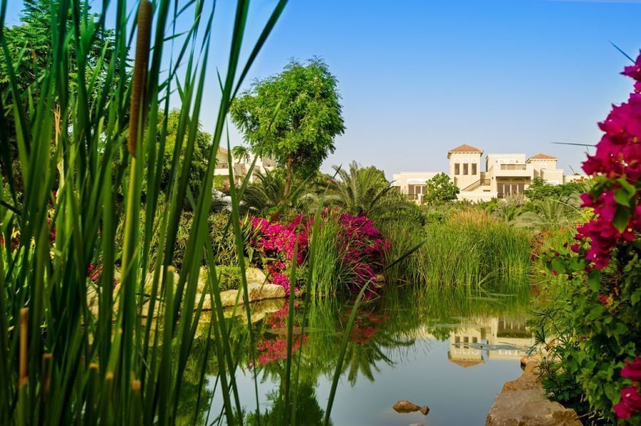 Babbling brooks and desert flora surround you