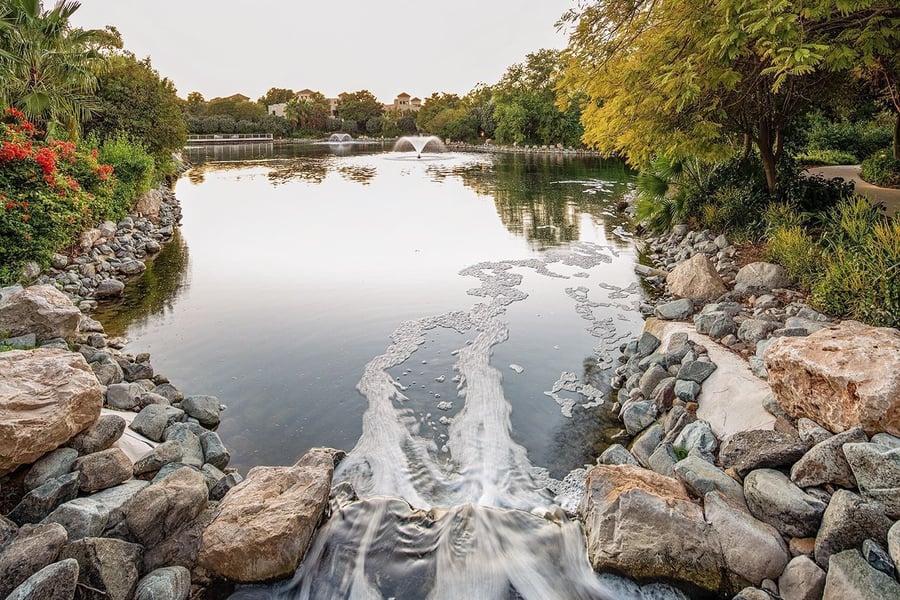 Babbling brooks and desert flora surround you