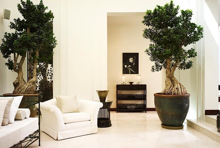 Camellia villa seating area