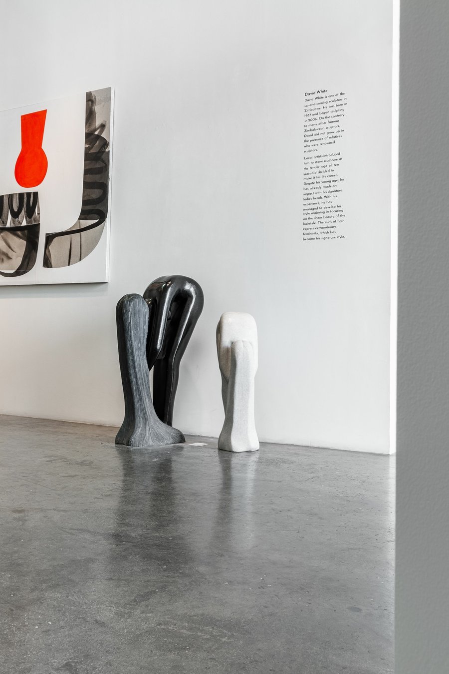 Shona Collective