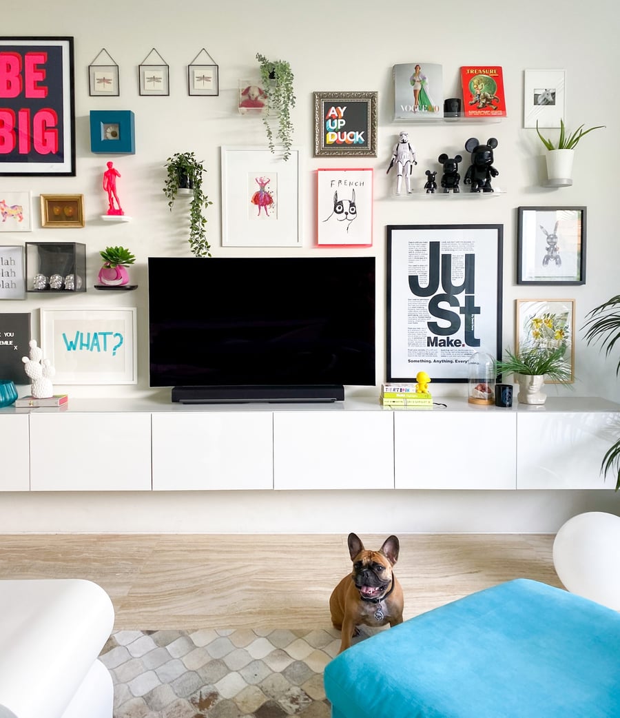 Dog in living room