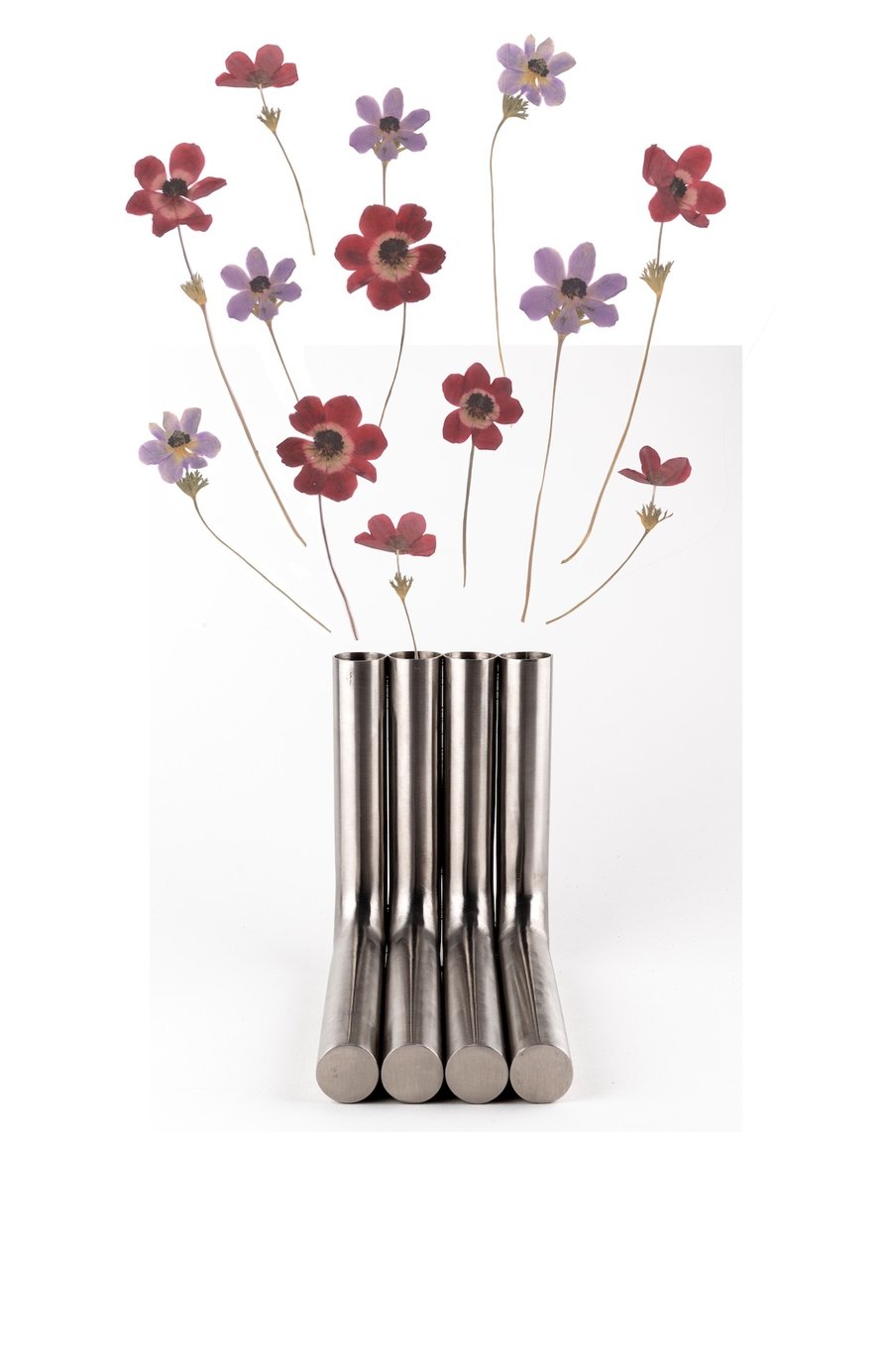 Flora2