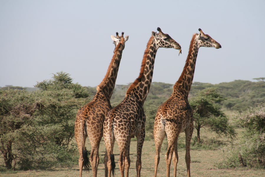 10 fun activities to do with your kids in Dubai