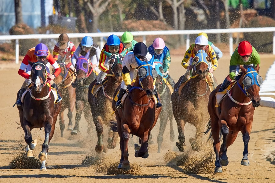 Dubai World Cup