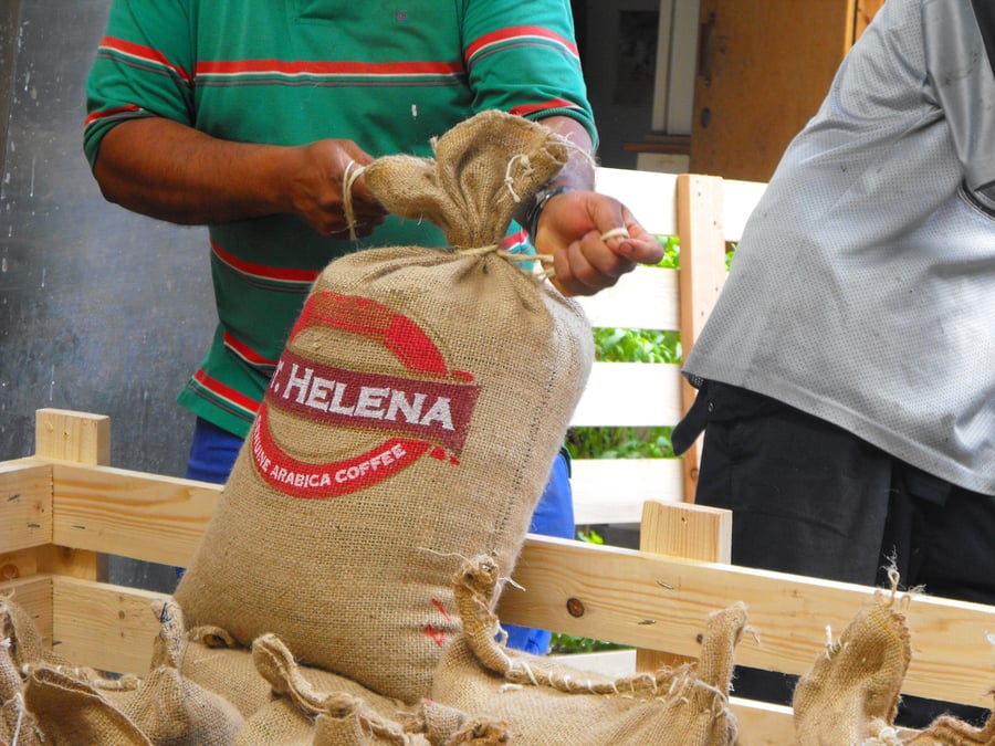Top 10 most expensive coffee in the world
