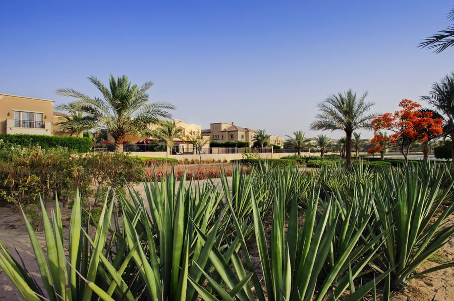 Golf Communities in Dubai