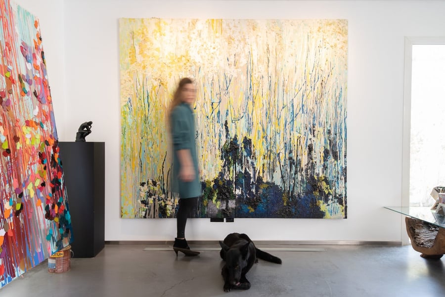 Ana D'Castro's art
