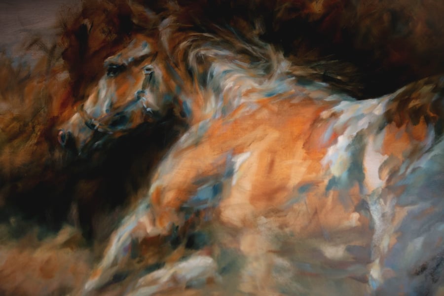 Horses